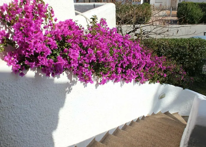 Oasis Park